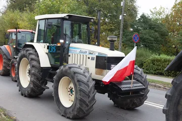 Następne zdjęcie