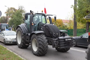 Następne zdjęcie