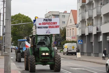 Następne zdjęcie