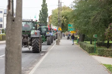 Następne zdjęcie
