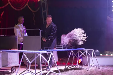 Poprzednie zdjęcie