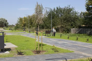 Międzynarodowa aleja w Ostrowi Mazowieckiej (zdjęcia)