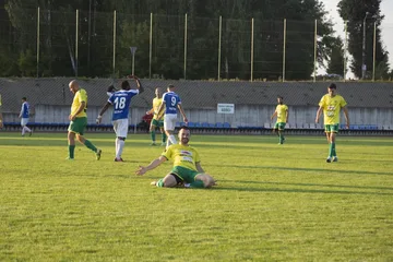 Następne zdjęcie