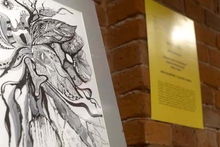 Wystawa ostrowskich artystów już otwarta (zdjęcia)