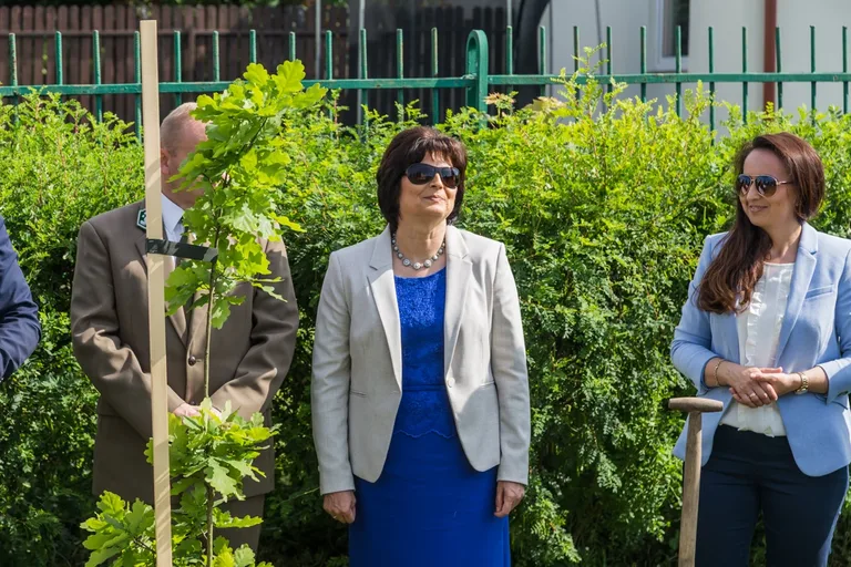 Aleja Dębów powstała na terenie "Ekonomika" (zdjęcia)