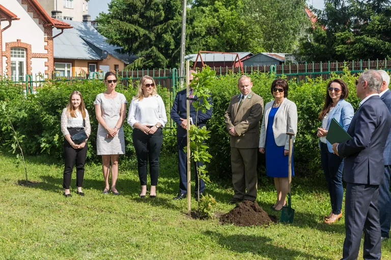 Aleja Dębów powstała na terenie "Ekonomika" (zdjęcia)