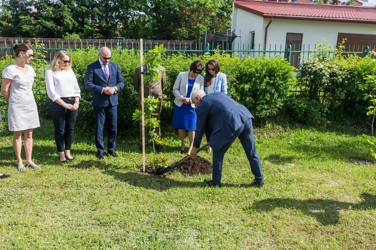 Aleja Dębów powstała na terenie "Ekonomika" (zdjęcia)