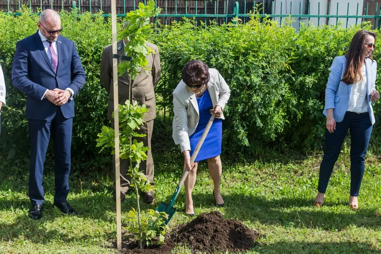 Aleja Dębów powstała na terenie "Ekonomika" (zdjęcia)
