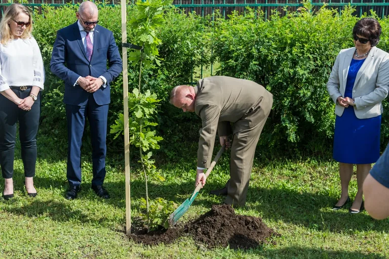 Aleja Dębów powstała na terenie "Ekonomika" (zdjęcia)