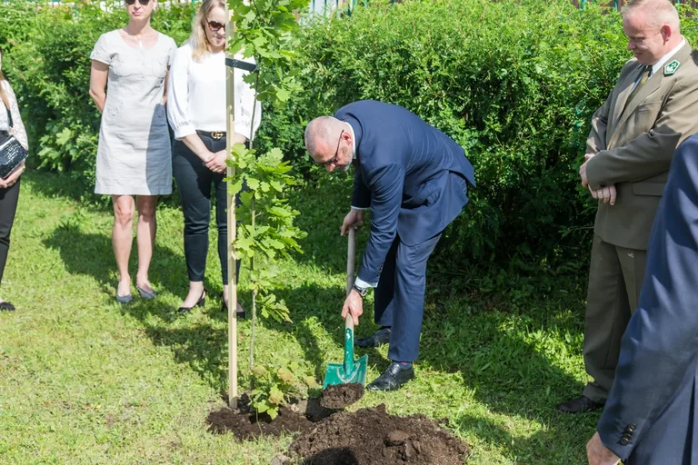 Aleja Dębów powstała na terenie "Ekonomika" (zdjęcia)