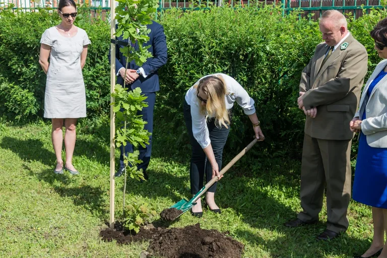 Aleja Dębów powstała na terenie "Ekonomika" (zdjęcia)