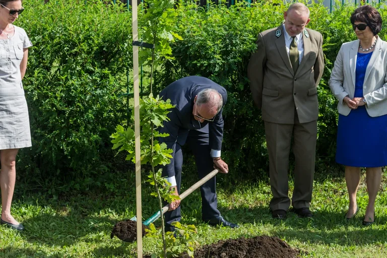 Aleja Dębów powstała na terenie "Ekonomika" (zdjęcia)