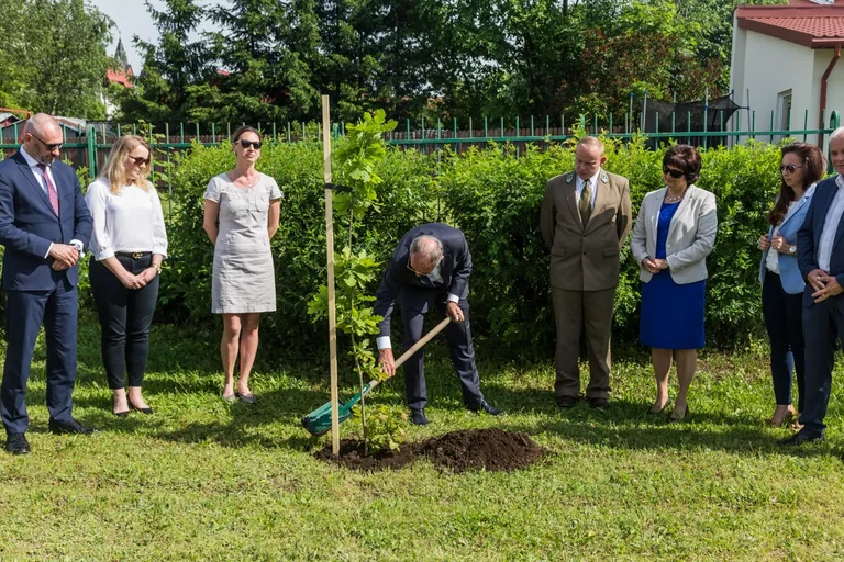Aleja Dębów powstała na terenie "Ekonomika" (zdjęcia)