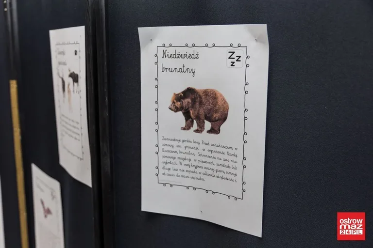 "Zwierzaki duże i małe". Zajęcia edukacyjne dla dzieci (zdjęcia)