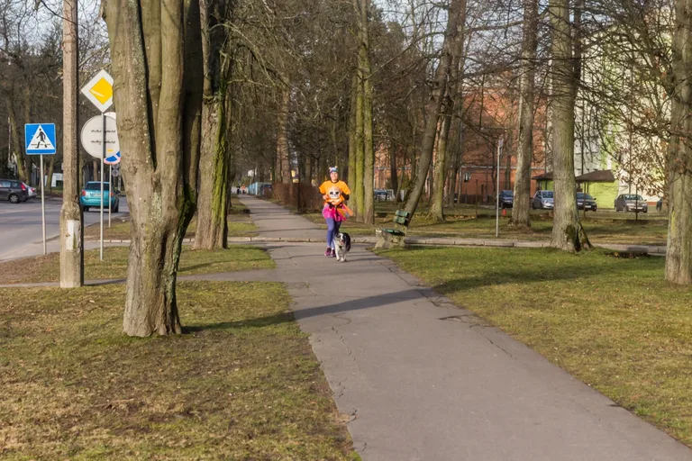 "Policz się z cukrzycą". Bieg w ramach WOŚP (zdjęcia)