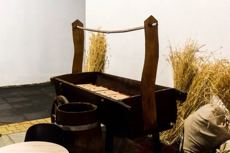 Happening Krakowskiego Teatru Ulicznego (zdjęcia, wideo)
