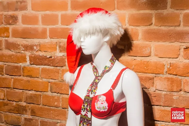 "Merry Kiczmas". Wystawa w Jatkach zainaugurowana (zdjęcia, wideo)