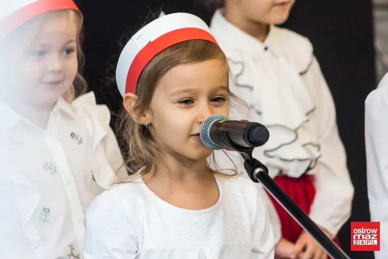Festiwal piosenki patriotycznej "Jest takie miejsce" (zdjęcia, wideo)