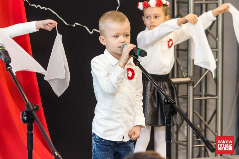 Festiwal piosenki patriotycznej "Jest takie miejsce" (zdjęcia, wideo)