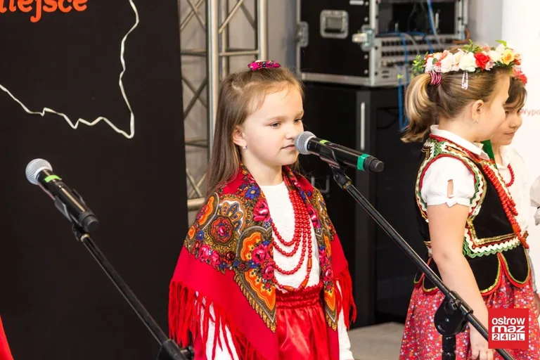 Festiwal piosenki patriotycznej "Jest takie miejsce" (zdjęcia, wideo)
