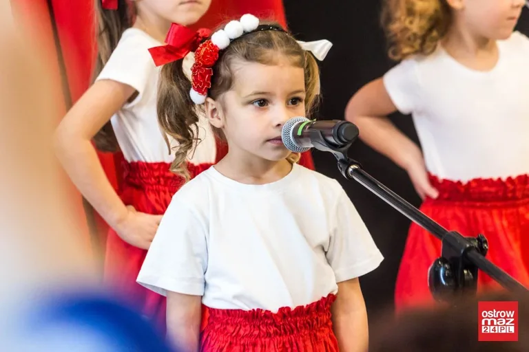 Festiwal piosenki patriotycznej "Jest takie miejsce" (zdjęcia, wideo)