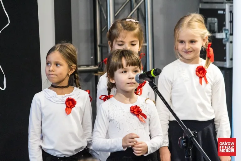 Festiwal piosenki patriotycznej "Jest takie miejsce" (zdjęcia, wideo)