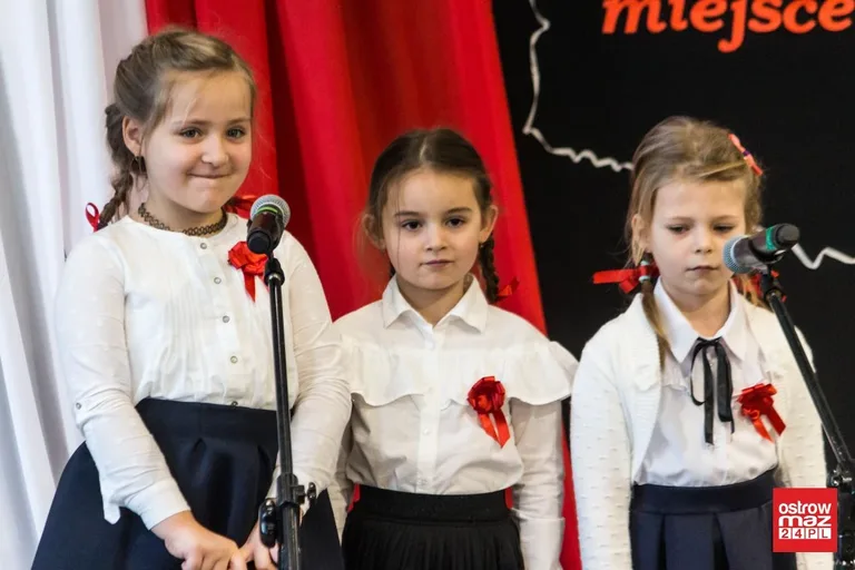 Festiwal piosenki patriotycznej "Jest takie miejsce" (zdjęcia, wideo)