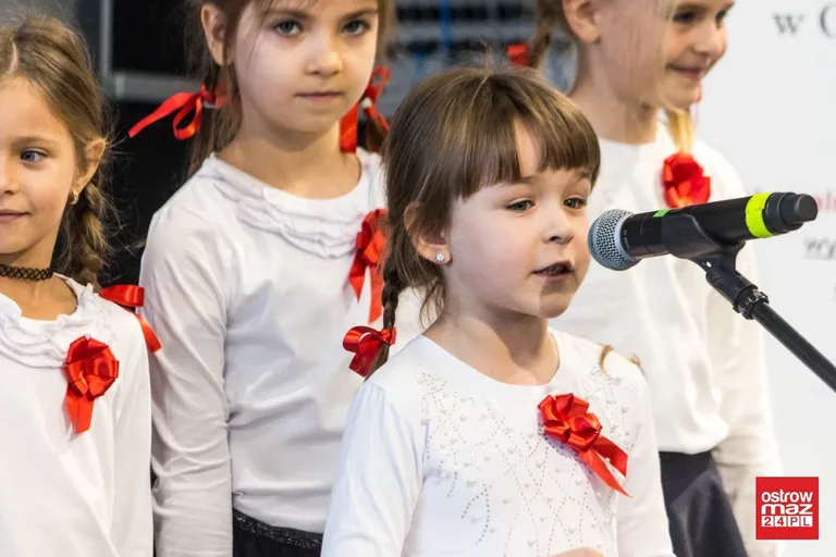 Festiwal piosenki patriotycznej "Jest takie miejsce" (zdjęcia, wideo)