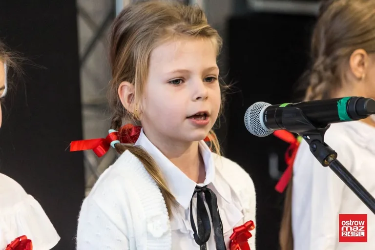 Festiwal piosenki patriotycznej "Jest takie miejsce" (zdjęcia, wideo)
