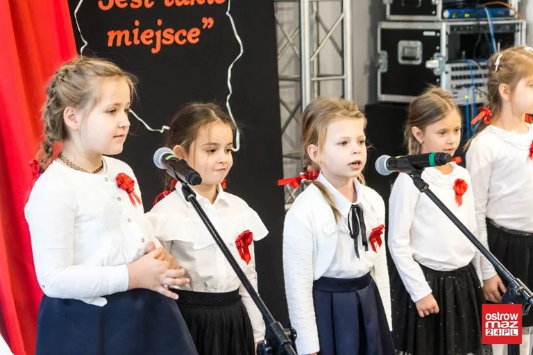 Festiwal piosenki patriotycznej "Jest takie miejsce" (zdjęcia, wideo)