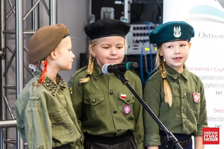 Festiwal piosenki patriotycznej "Jest takie miejsce" (zdjęcia, wideo)