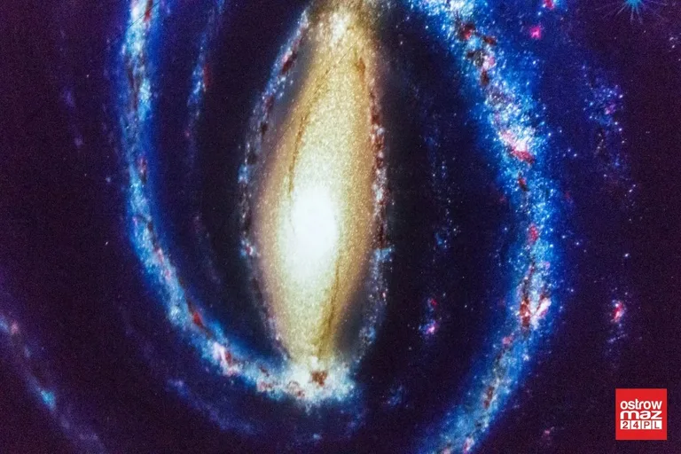Dzieci poznały znane gwiazdozbiory w mobilnym planetarium (zdjęcia)