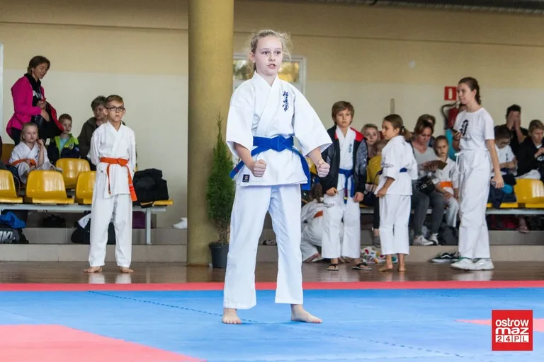 Setki karateków na macie w Sadownem (zdjęcia, wideo)