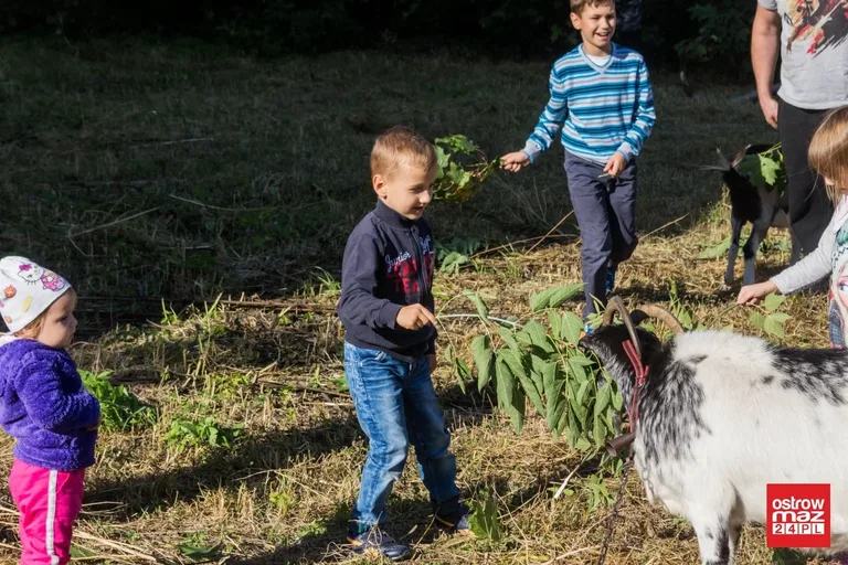 Tłumy na ulicy Słowackiego. "Żywa Ulica" zakończona sukcesem (zdjęcia, wideo)