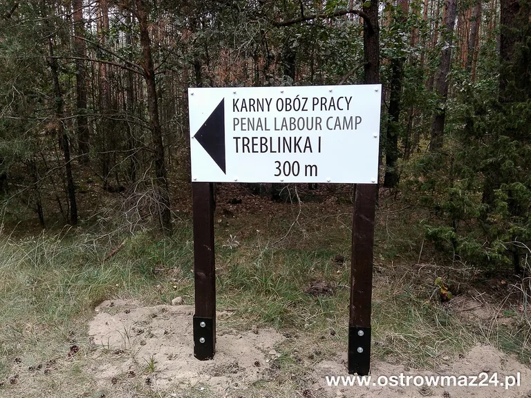 Uroczystości w Treblince (zdjęcia)