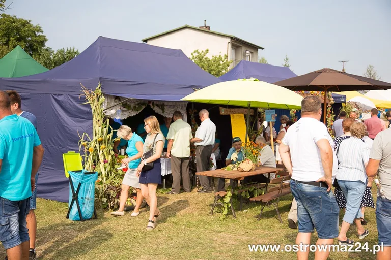 Święto plonów w gminie Ostrów Mazowiecka (zdjęcia, wideo)