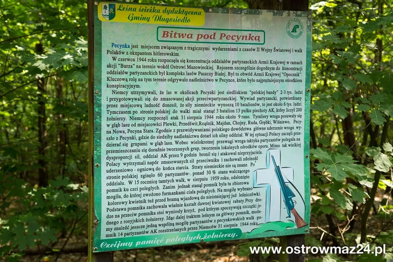 Pod Pecynką uczcili pamięć bohaterów (zdjęcia, wideo)