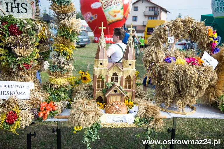 Święto plonów w gminie Ostrów Mazowiecka (zdjęcia, wideo)