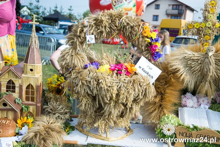 Święto plonów w gminie Ostrów Mazowiecka (zdjęcia, wideo)