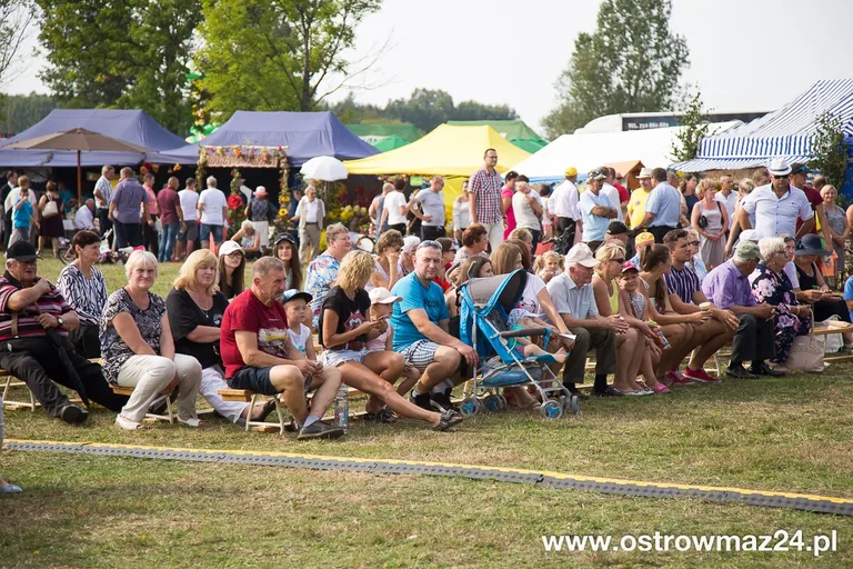 Święto plonów w gminie Ostrów Mazowiecka (zdjęcia, wideo)