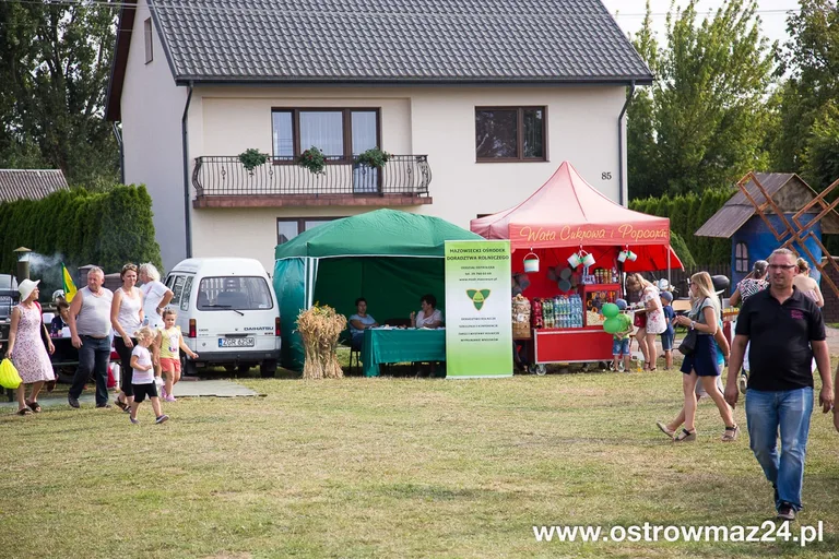 Święto plonów w gminie Ostrów Mazowiecka (zdjęcia, wideo)