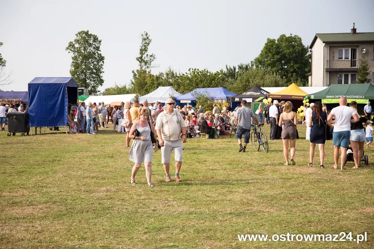 Święto plonów w gminie Ostrów Mazowiecka (zdjęcia, wideo)
