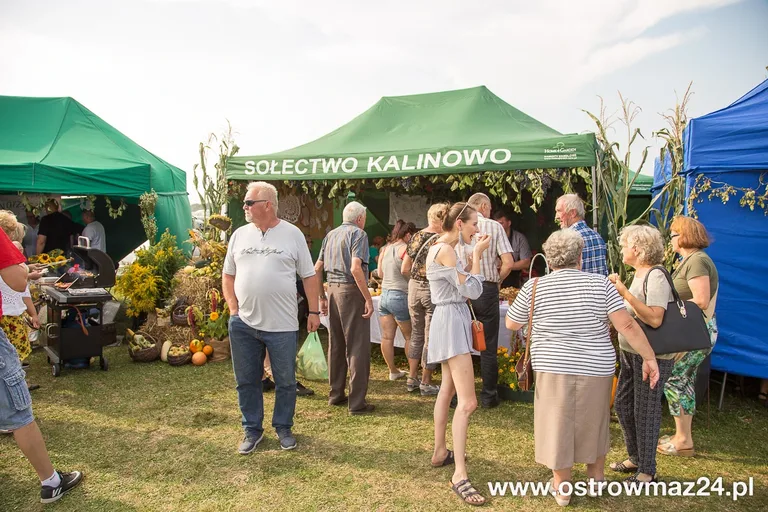 Święto plonów w gminie Ostrów Mazowiecka (zdjęcia, wideo)