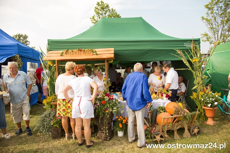 Święto plonów w gminie Ostrów Mazowiecka (zdjęcia, wideo)