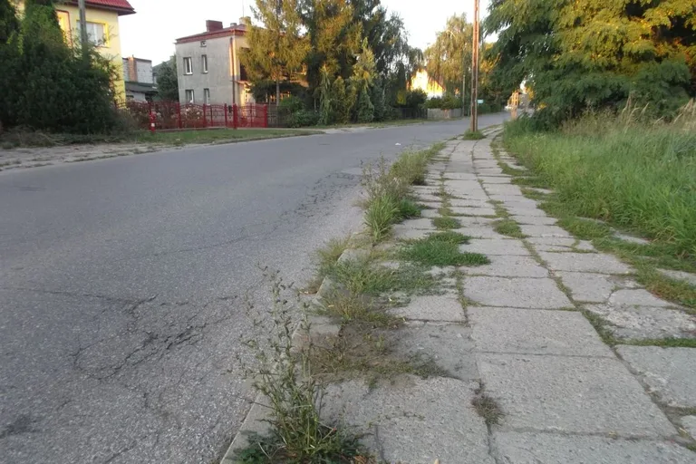 Skrzynka skarg: Zarośnięte chodniki w Ostrowi Mazowieckiej (zdjęcia)