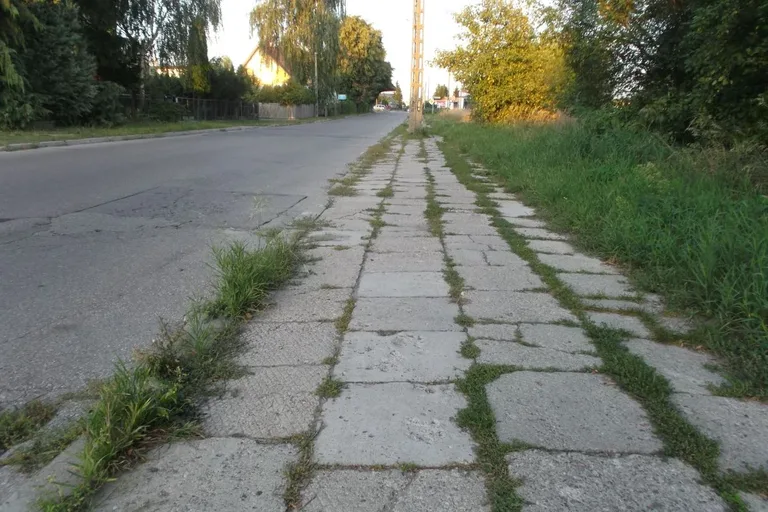 Skrzynka skarg: Zarośnięte chodniki w Ostrowi Mazowieckiej (zdjęcia)