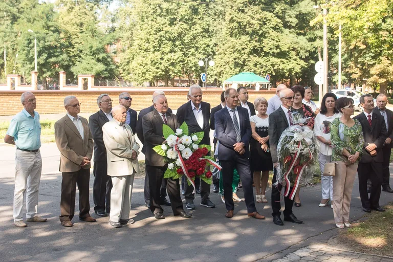 Święto Wojska Polskiego w Komorowie (zdjęcia, wideo)