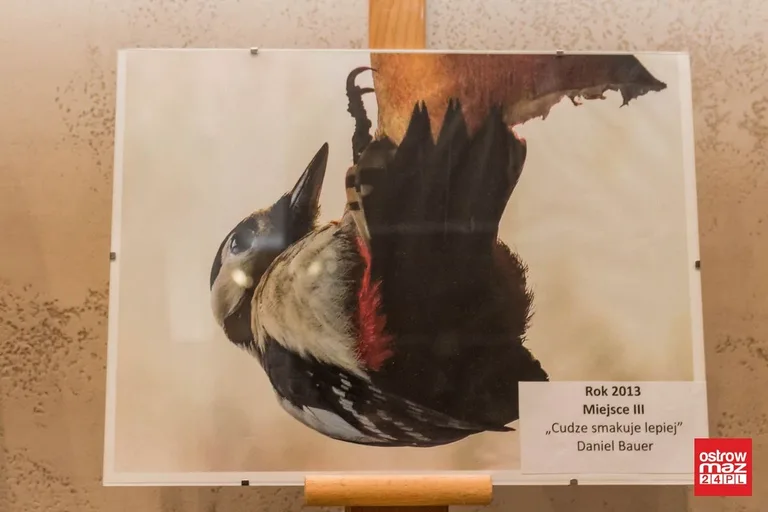 "Ludzie z pasją" podsumowali konkurs fotograficzny (zdjęcia, wideo)