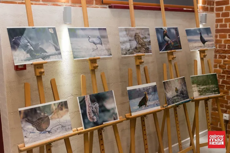 "Ludzie z pasją" podsumowali konkurs fotograficzny (zdjęcia, wideo)