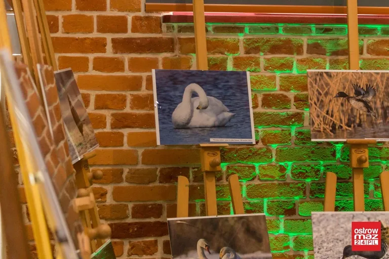 "Ludzie z pasją" podsumowali konkurs fotograficzny (zdjęcia, wideo)